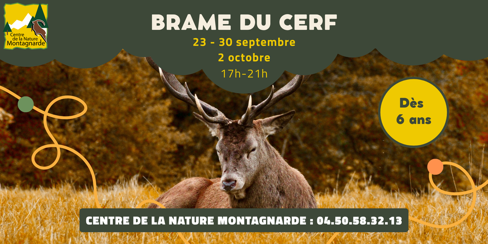 Soirées brame du cerf Sallanches