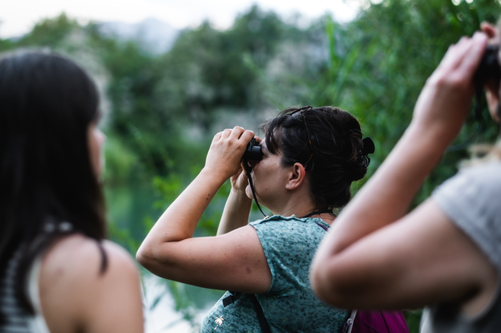 Visite au crépuscule de la Réserve Naturelle du Delta de la Dranse Thonon les Bains