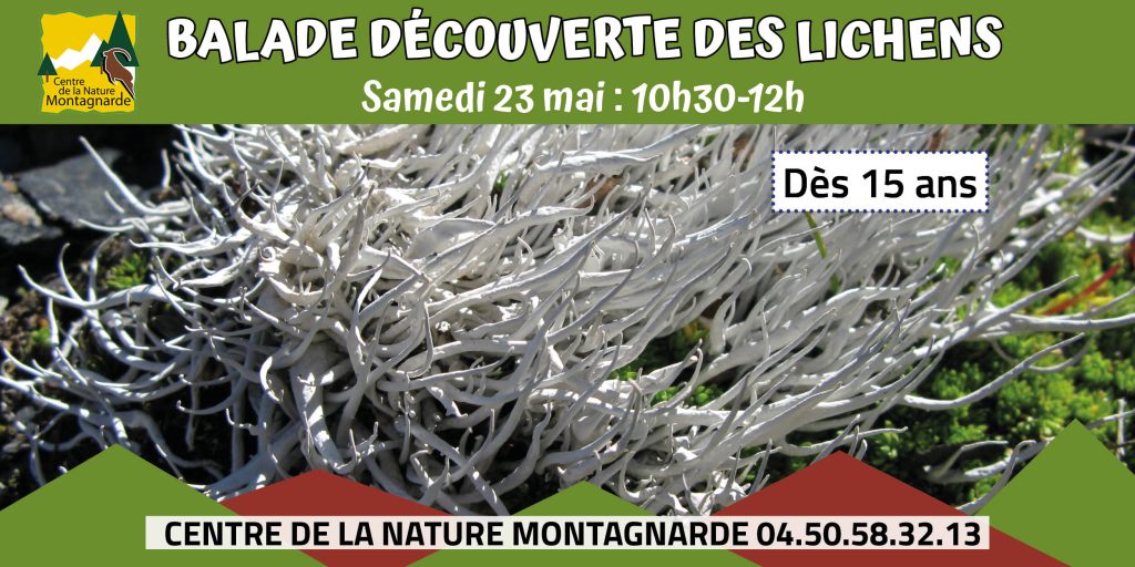 Balade découverte des lichens Sallanches