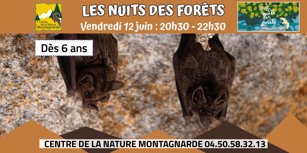Les Nuits des Forêts Sallanches