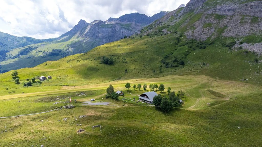 Stage alpages : écologie et pastoralisme Sallanches