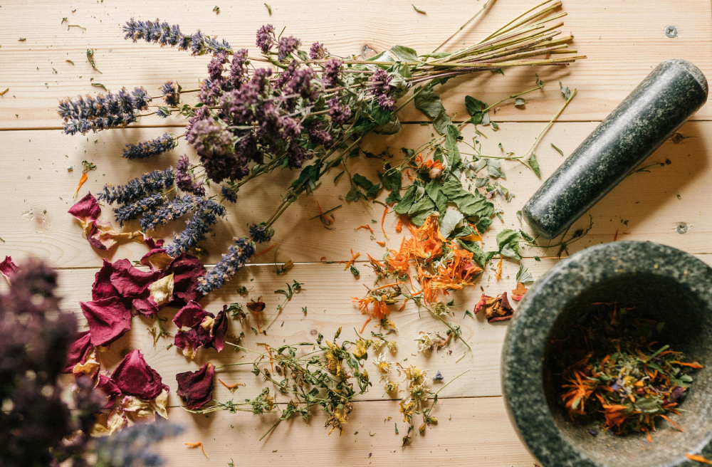 Au labo du château : Pfizherbes Sallanches