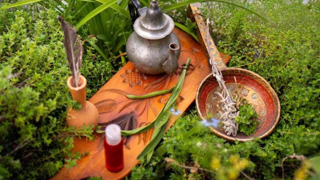Au labo du château : Pfizherbes Sallanches