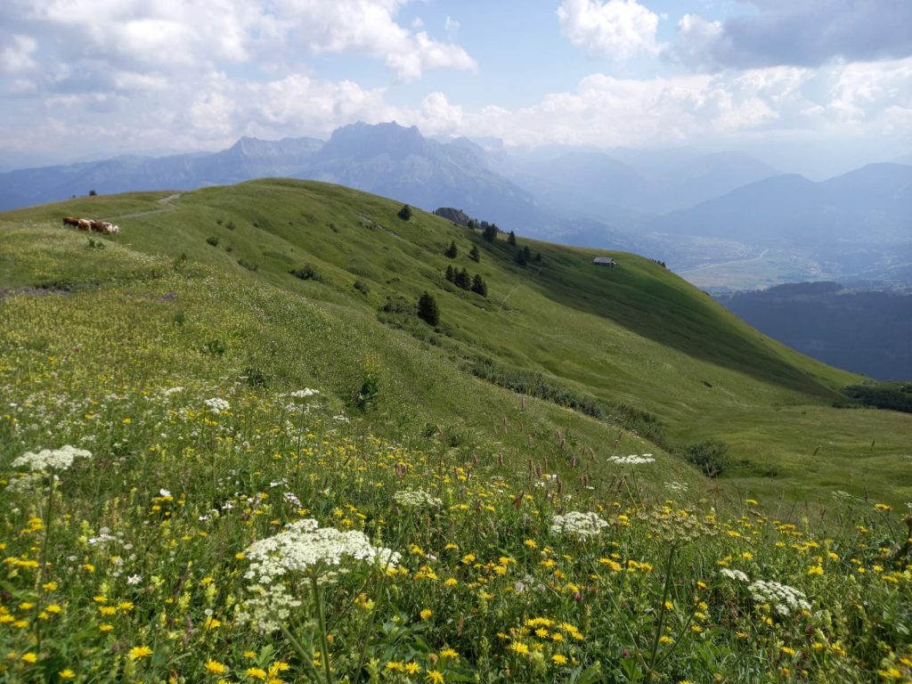 Sortie Nature Découverte de la biodiversité avec Natura 2000 Cordon