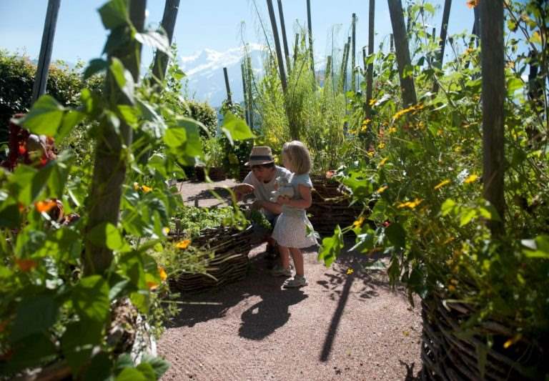 Visite guidée du Jardin des Cimes Passy