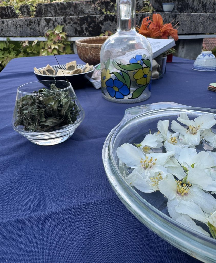 Afterwork : Apér'ô VIP au Château ! Sallanches