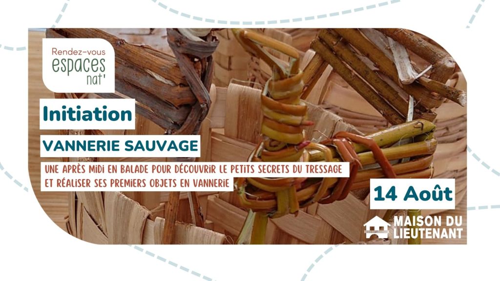 Initiation : Vannerie sauvage