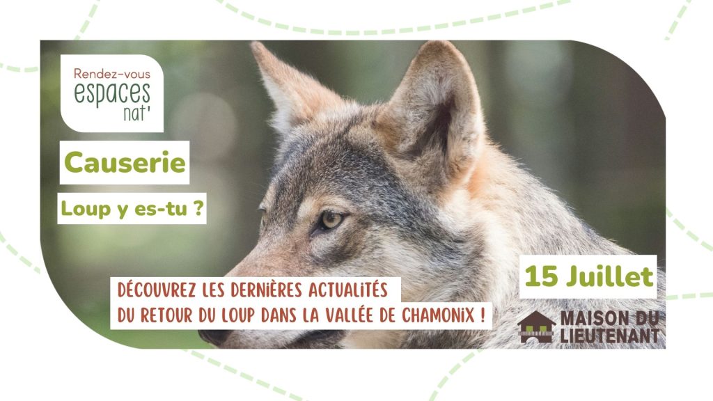 Causerie : Loup y es tu ?