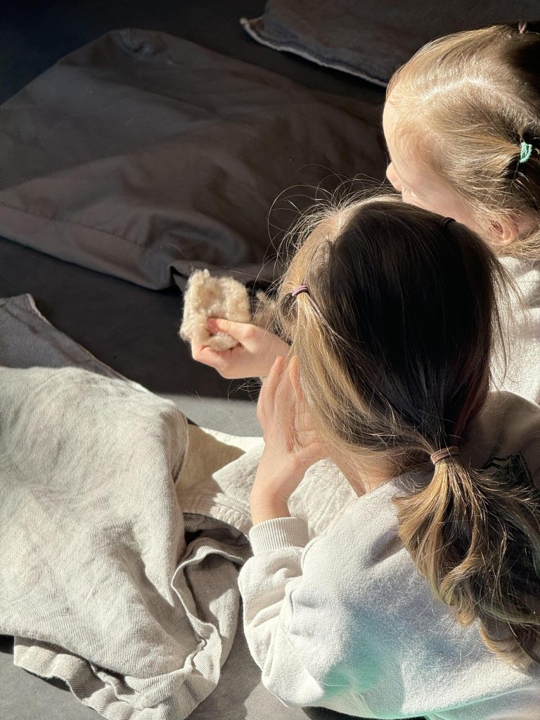 Au labo du château : Au fil du poil Sallanches