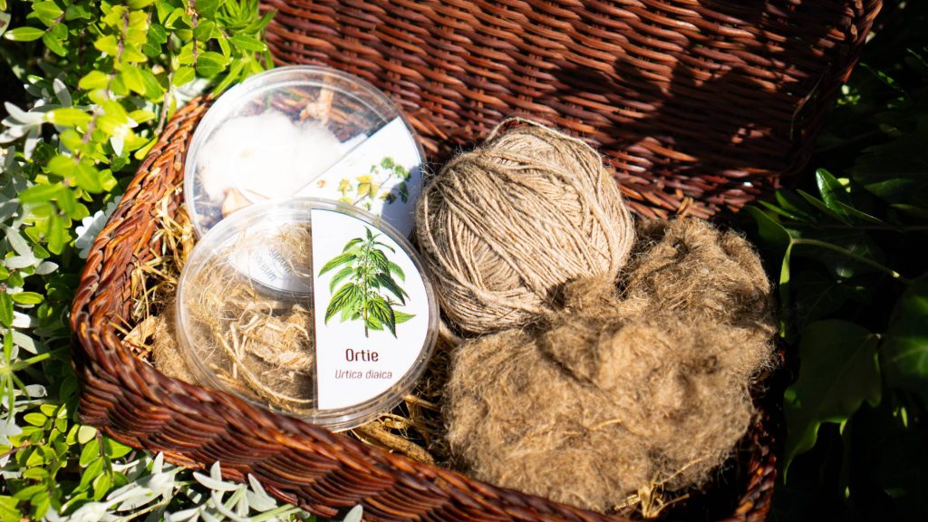 Au labo sous les marronniers : Avoir la fibre Sallanches