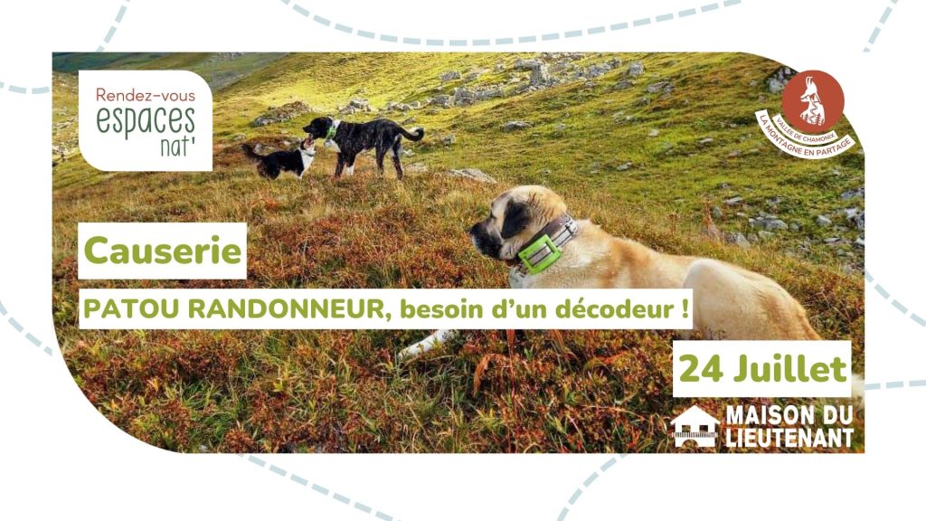 Causerie : Patou randonneur, besoin d&rsquo;un décodeur