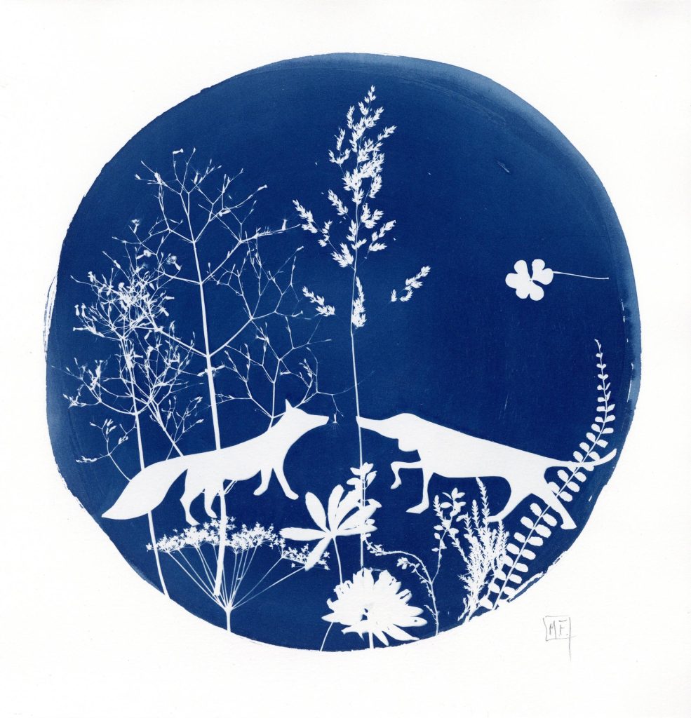 Atelier cyanotype Les Houches
