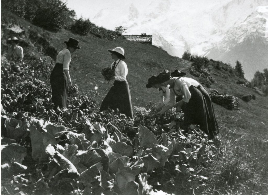 Atelier : Potager de papier Les Houches