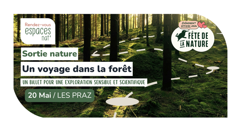 Sortie nature Un voyage dans la forêt Chamonix Mont Blanc