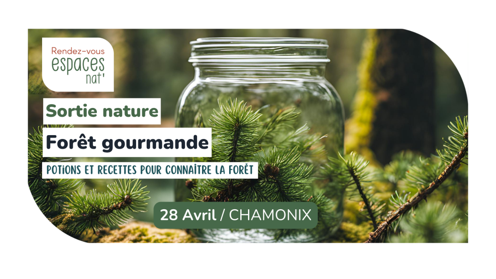 Sortie nature Foret gourmande Chamonix Mont Blanc