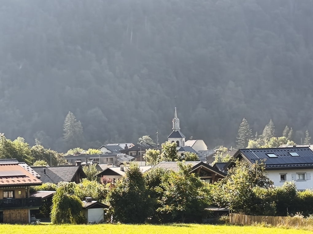 Marché aux fleurs et Petite brocante