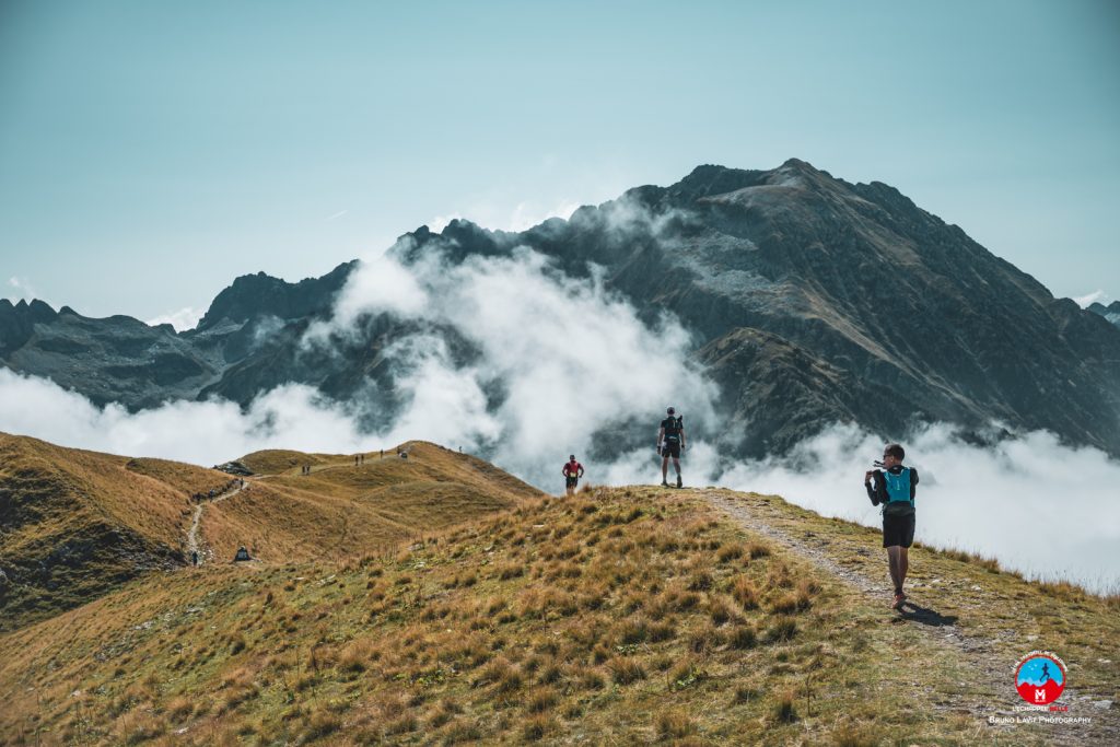 Science Sandwich – Trail en montagne : quel impact sur la faune sauvage ?