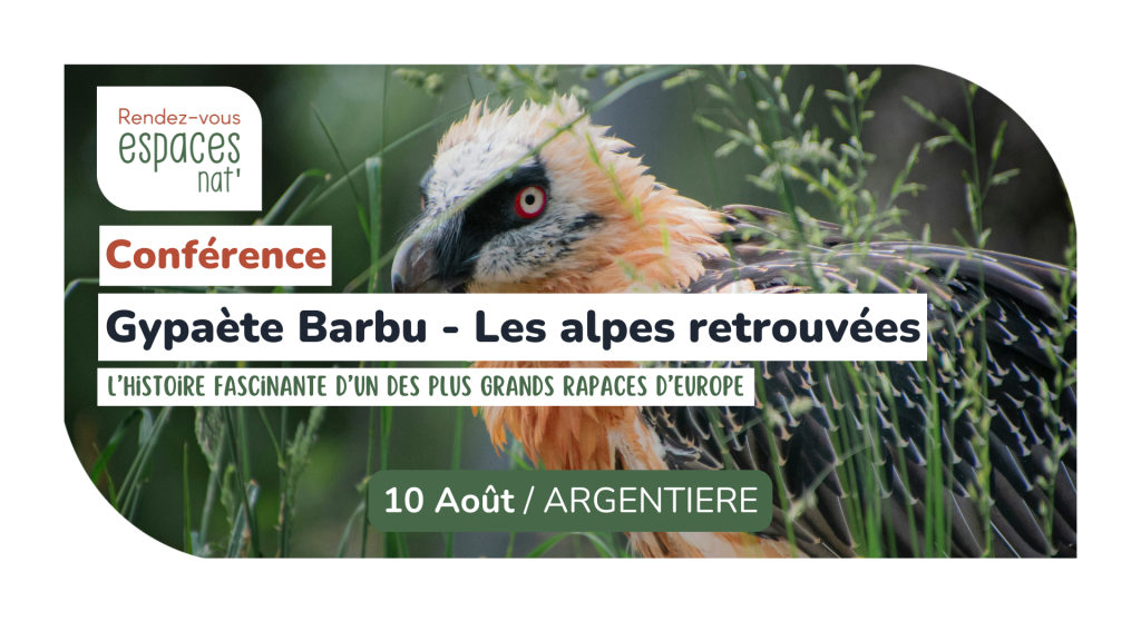 Conférence Gypaète Barbu, les Alpes retrouvées Argentière
