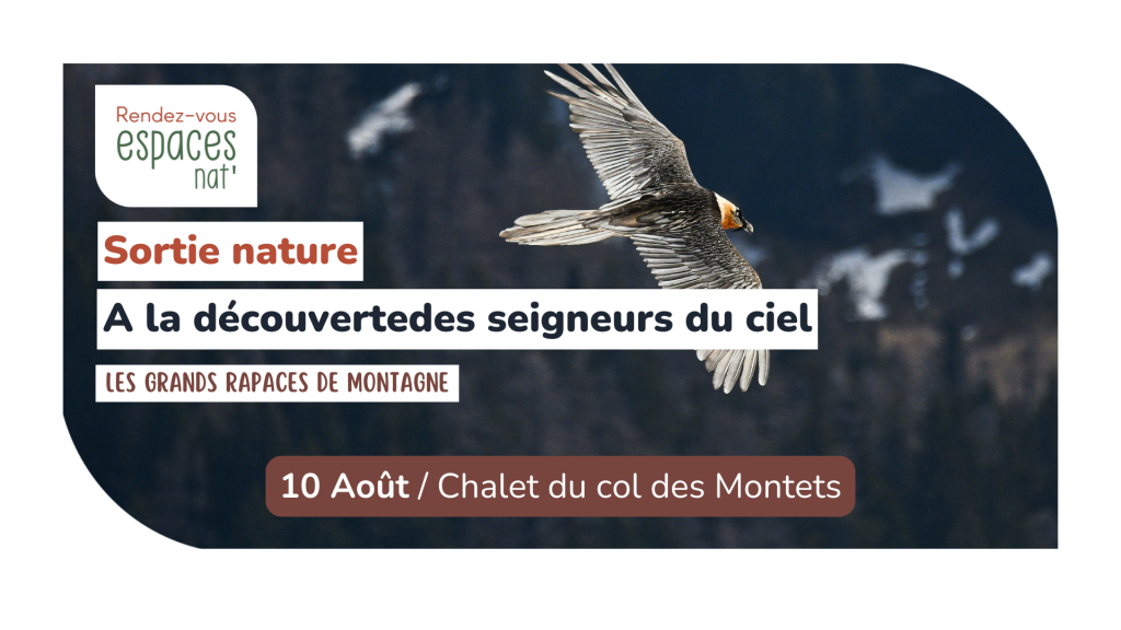 Sortie nature A la découverte des seigneurs du ciel Vallorcine