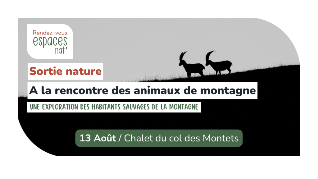 Sortie nature A la rencontre des animaux de montagne Vallorcine