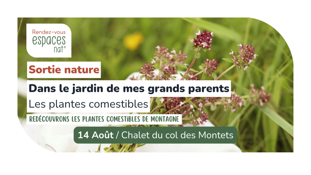 Sortie nature Dans le jardin de mes grands parents les plantes comestibles Vallorcine