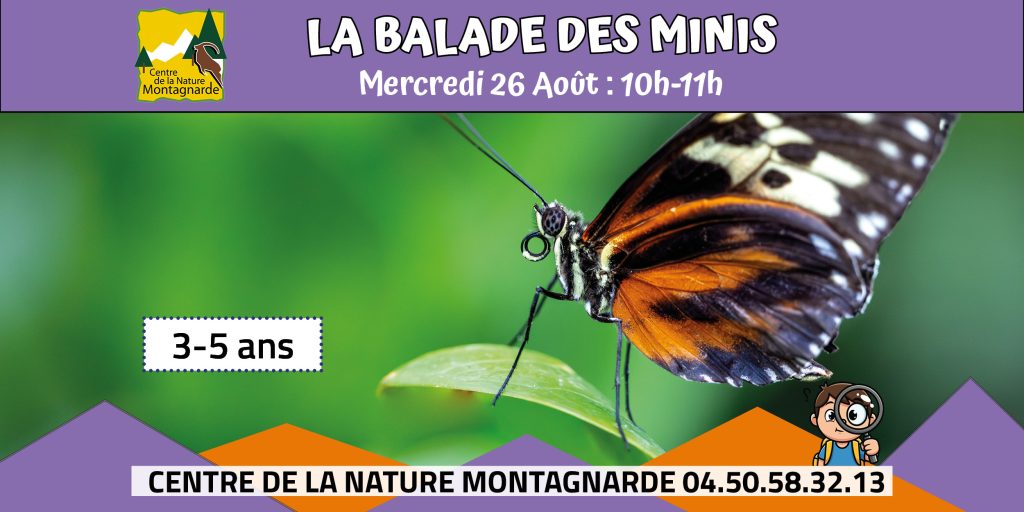 La balade des minis : Le mini papillon Sallanches