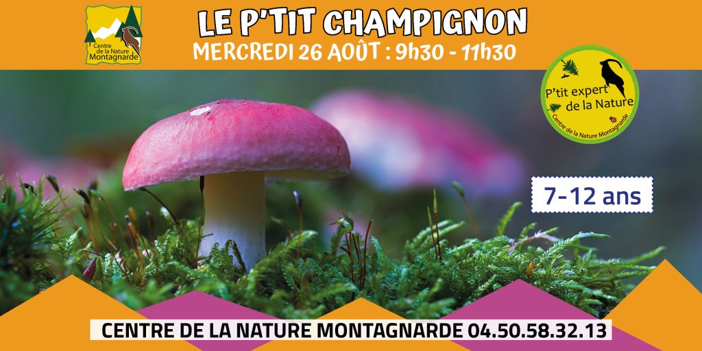 Les P'tits Experts de la Nature® Le P'tit champignon Sallanches