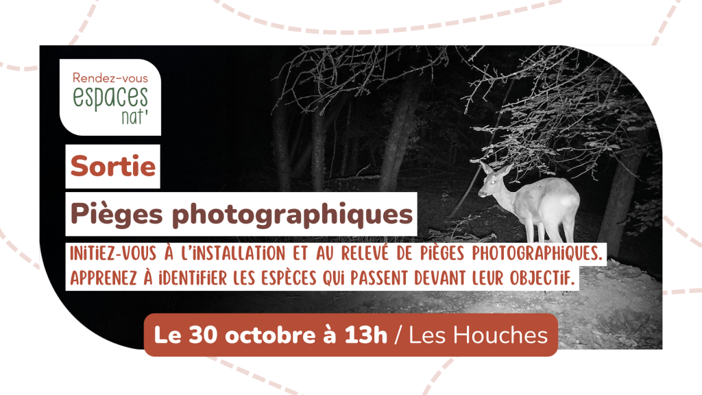 Sortie nature Pièges photographiques Les Houches