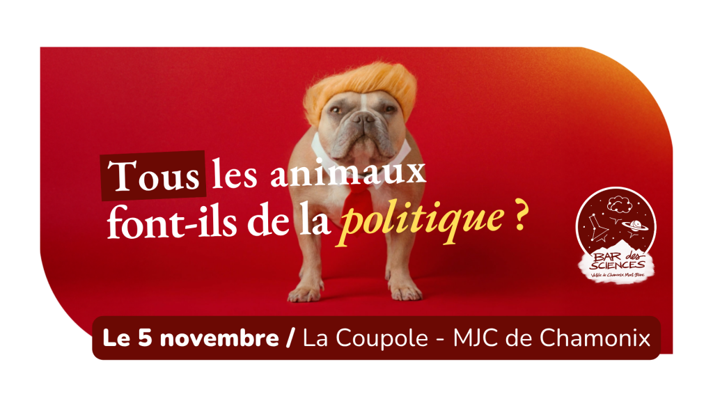 Bar des sciences : Tous les animaux font ils de la politique ? Chamonix Mont Blanc