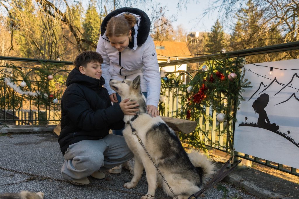 Sortie cani balade face au Mont Blanc Passy