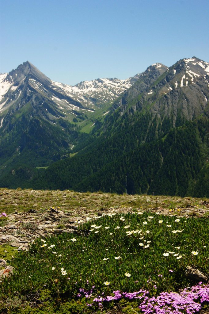 Conférence " Le verdissement des montagnes " par Baptiste Nicoud Saint Gervais les Bains