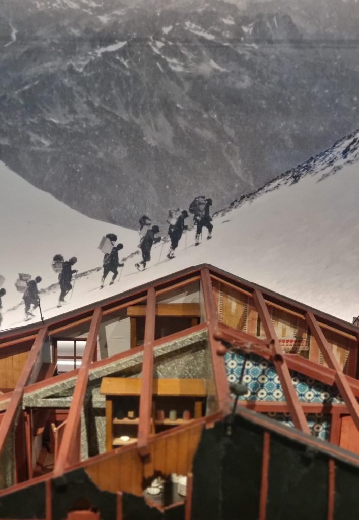 Visite guidée Le mont Blanc, un laboratoire en pleine nature Chamonix Mont Blanc