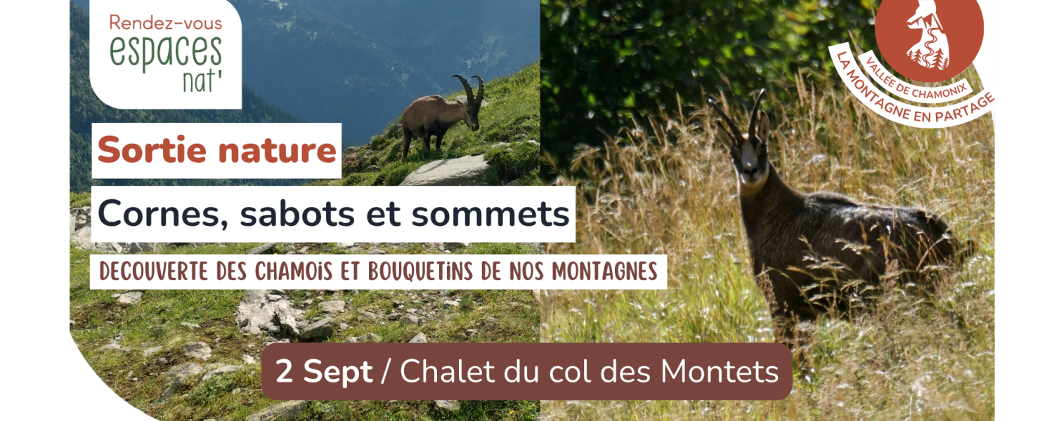 Sortie nature Cornes, Sabots et Sommets Vallorcine
