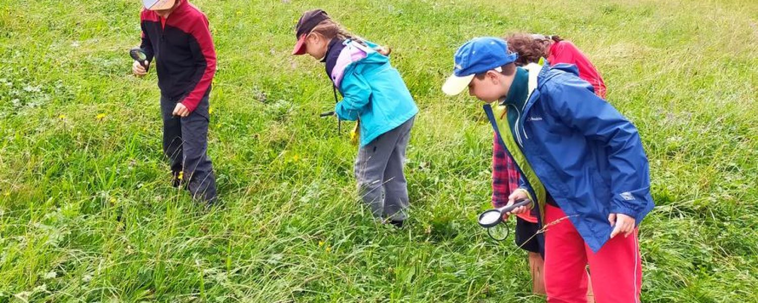 Centre de la nature Montagnarde