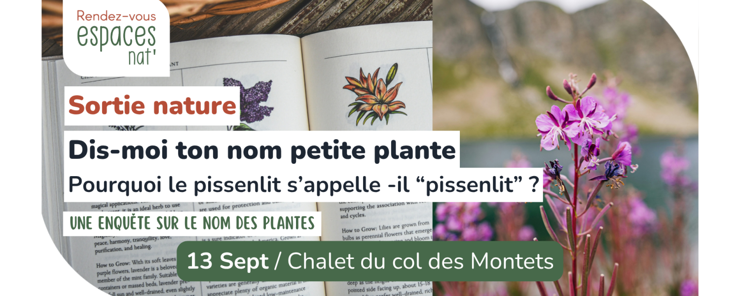 Sortie nature Dis moi ton nom petite plante Vallorcine