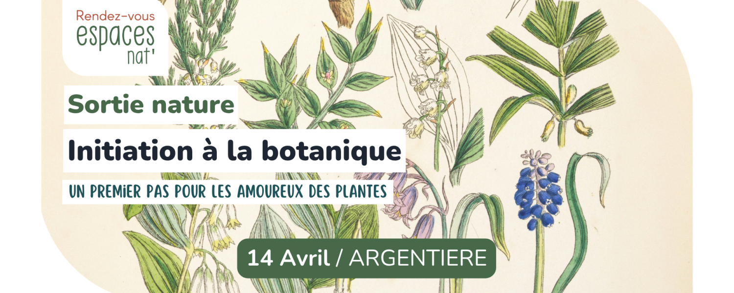 Sortie nature Initiation à la botanique Argentière