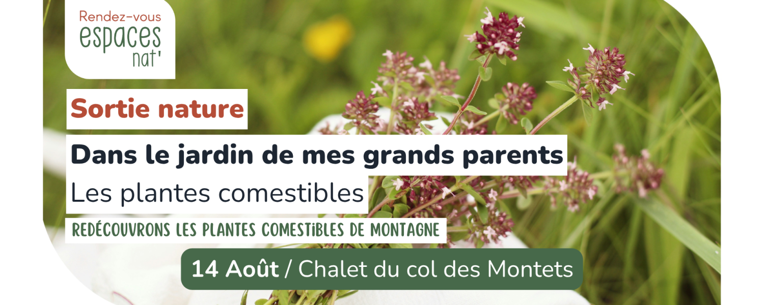 Sortie nature Dans le jardin de mes grands parents les plantes comestibles Vallorcine