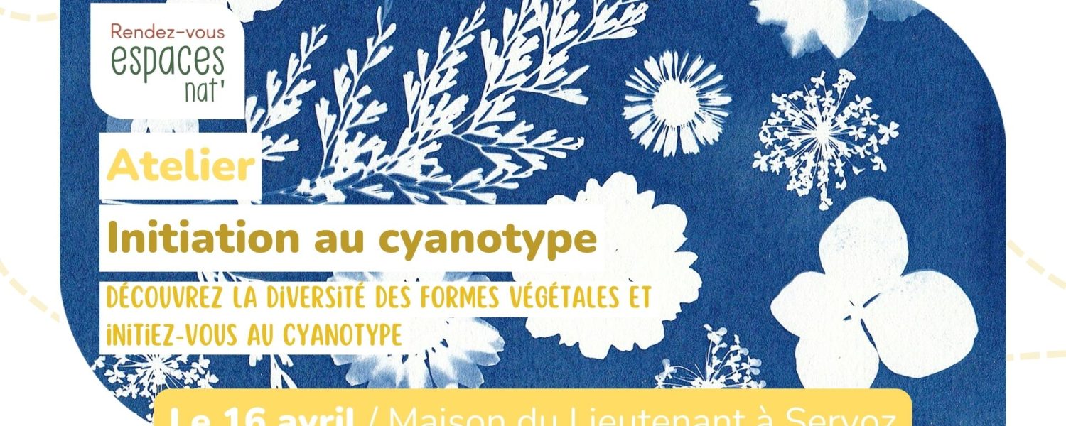 Atelier : « Initiation au Cyanotype »
