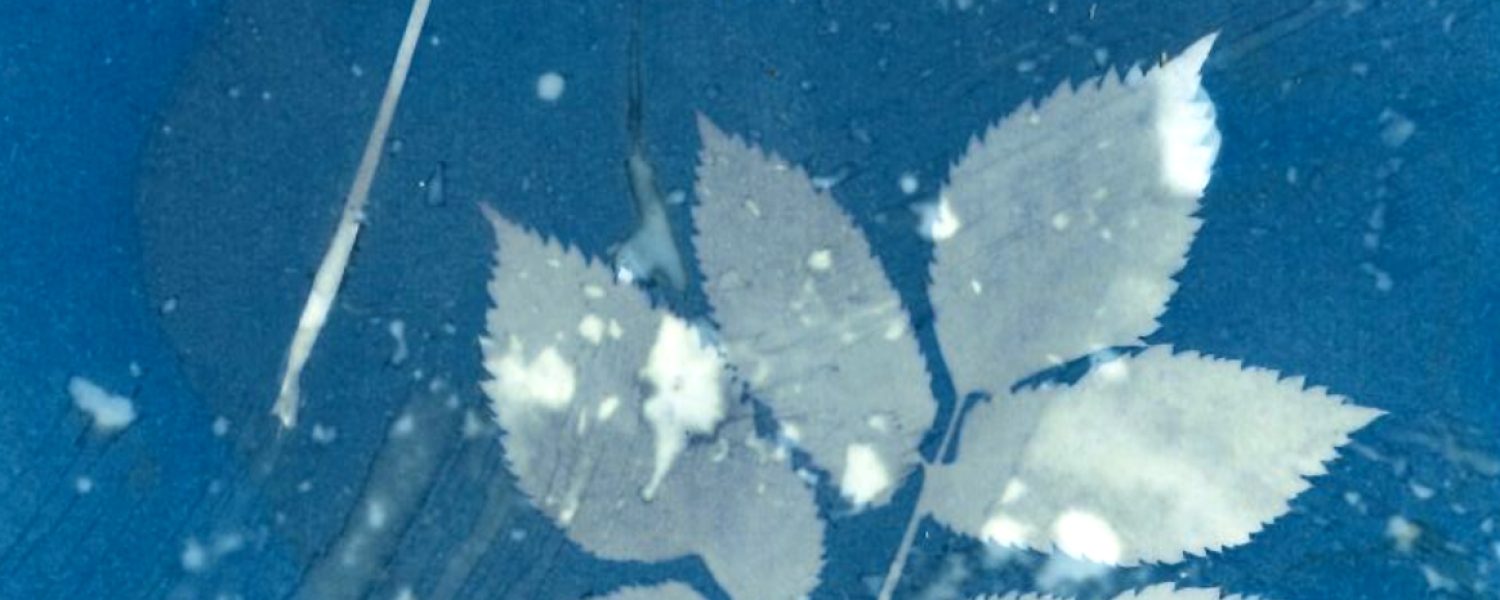 Au labo du Château : I've got the bleu !