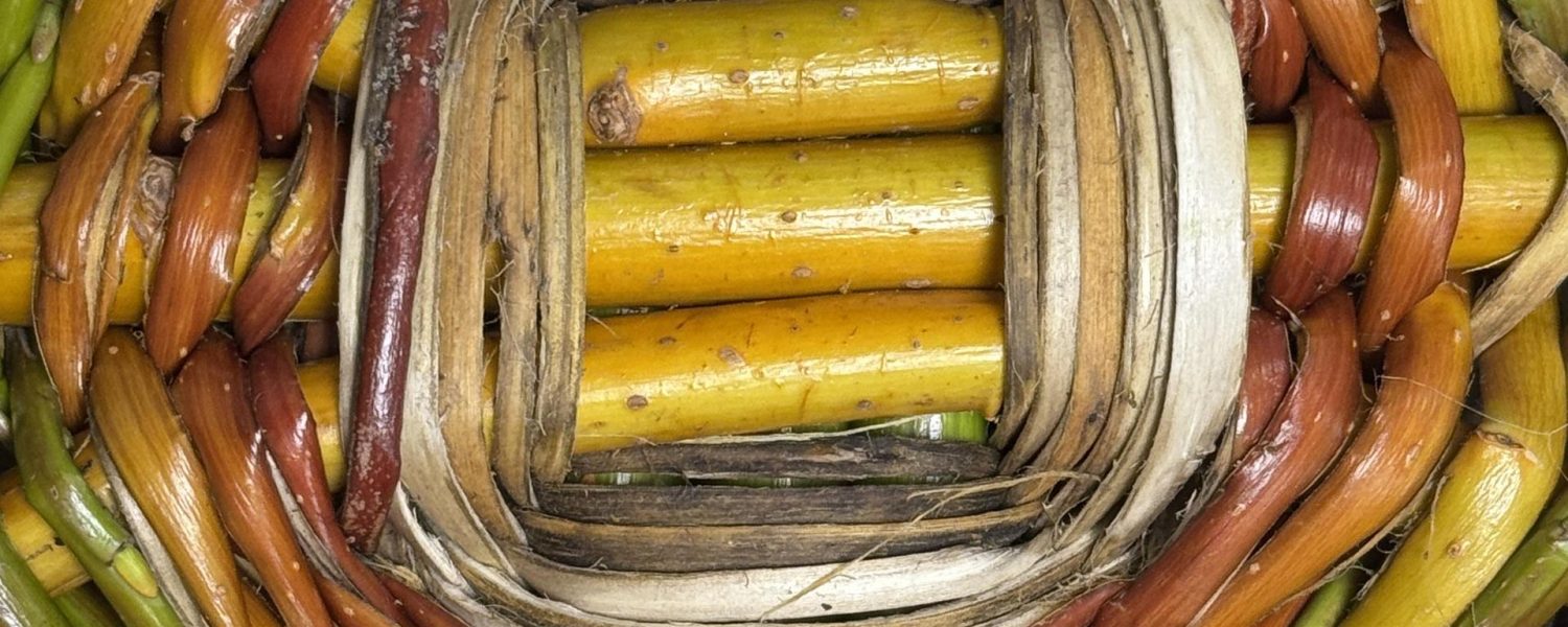 Au labo du Château : Vanne & rie ! Sallanches