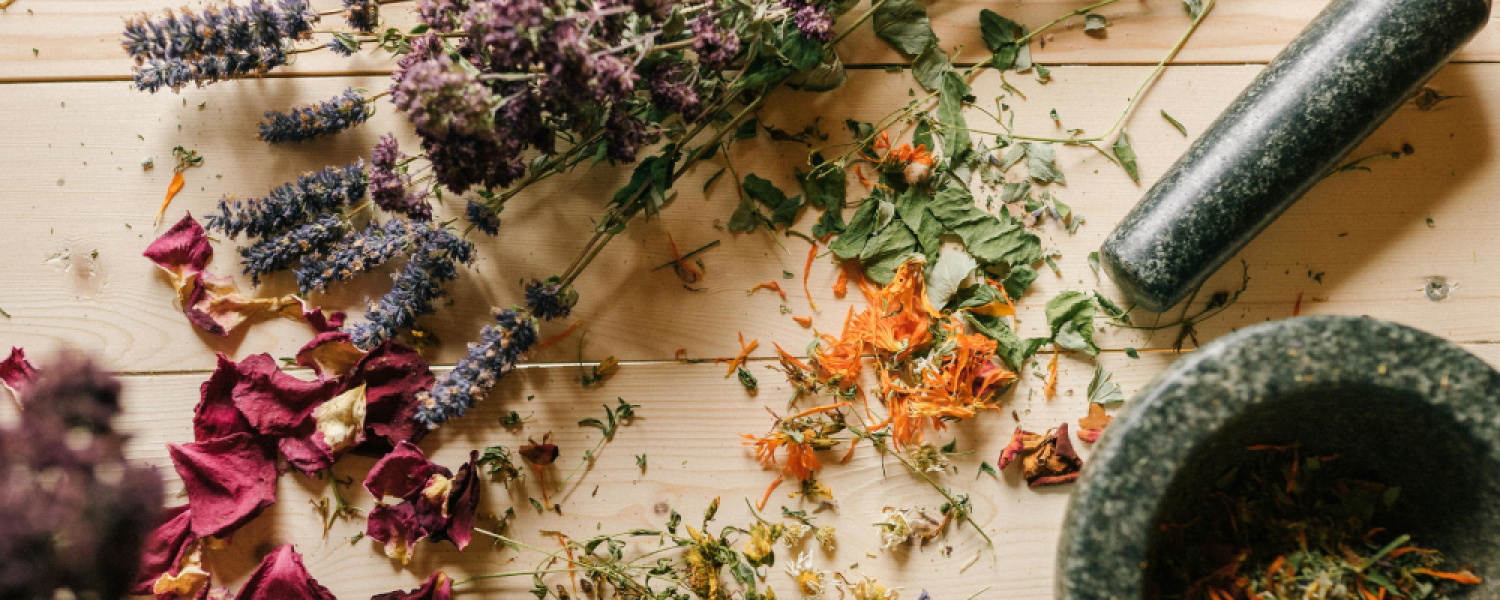 Au labo du château : Pfizherbes Sallanches