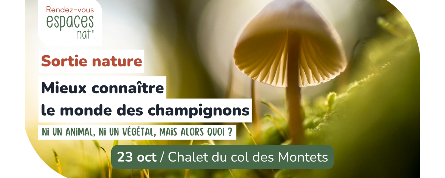 Sortie nature Mieux connaître le monde des champignons Vallorcine