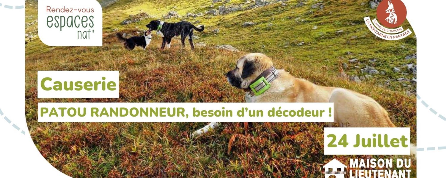 Causerie : Patou randonneur, besoin d&rsquo;un décodeur