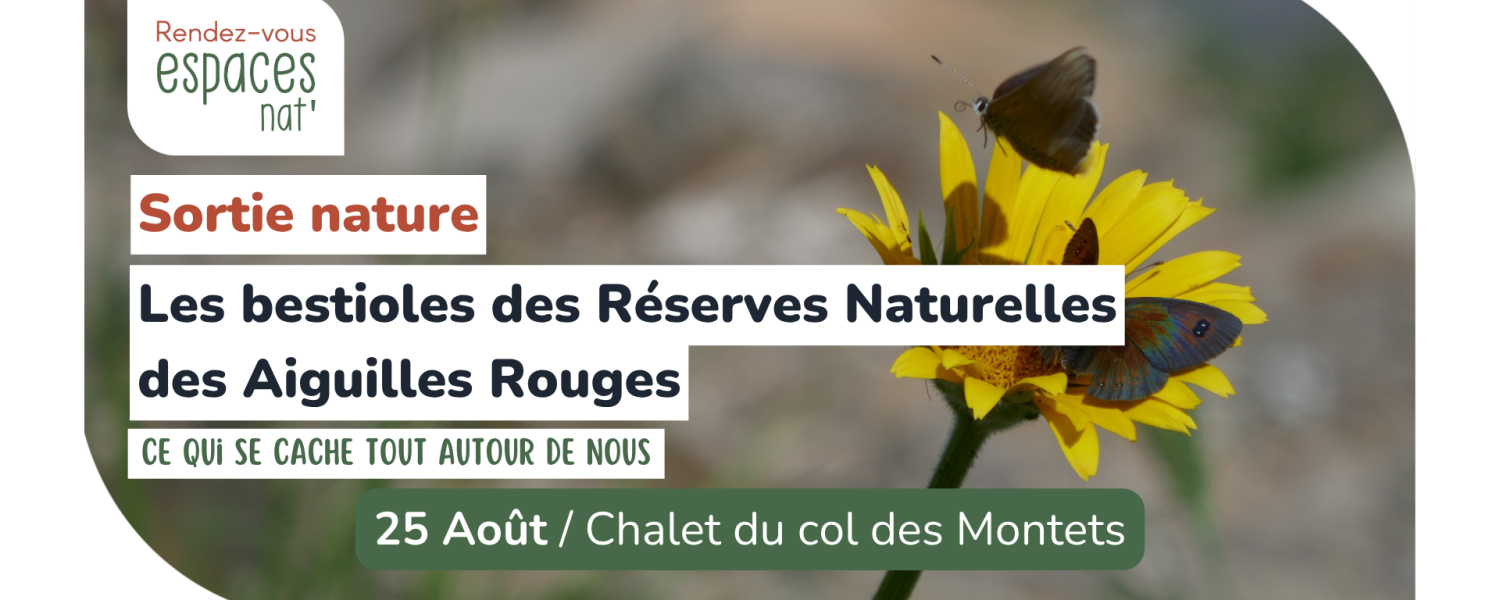 Sortie nature Les bestioles des réserves naturelles des Aiguilles rouges Vallorcine