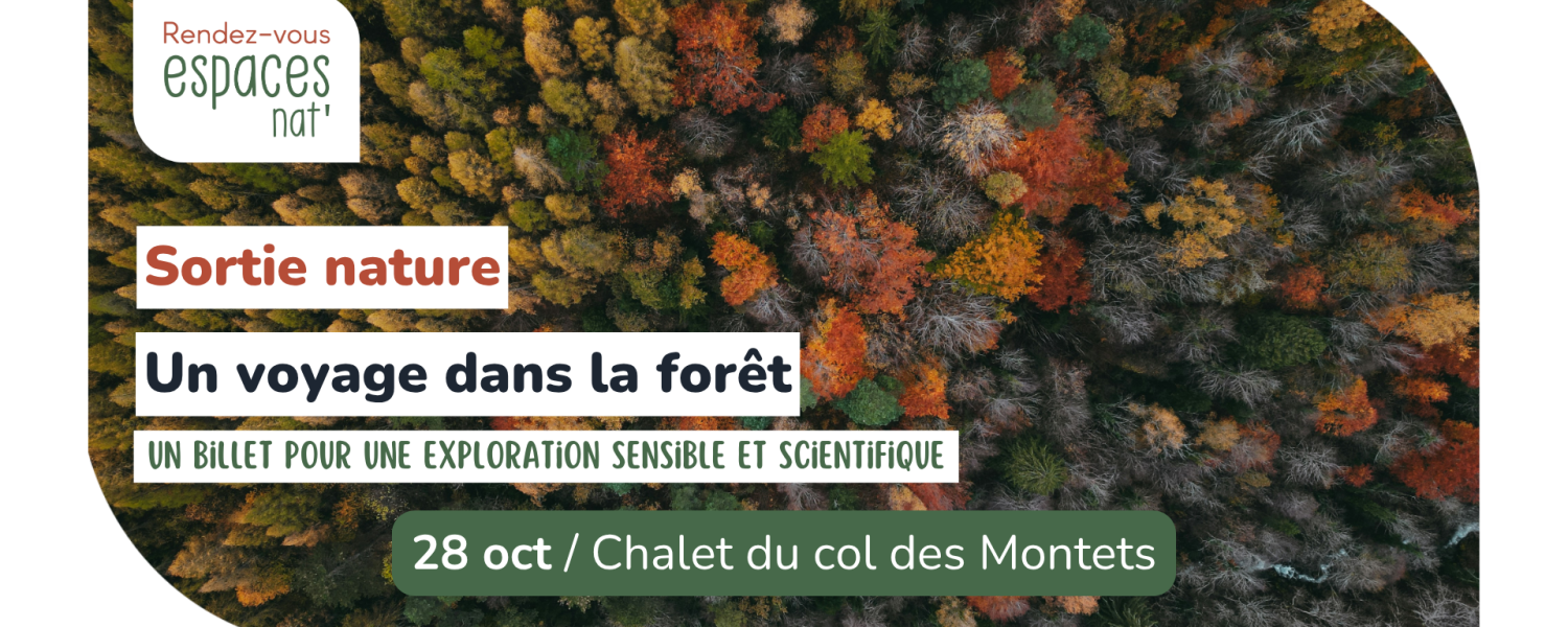 Sortie nature Un voyage dans la forêt Vallorcine