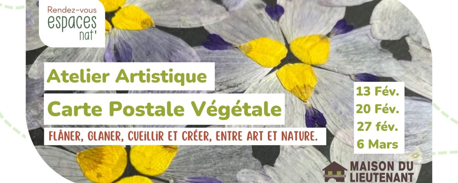 Atelier Artistique Carte postale végétale Servoz