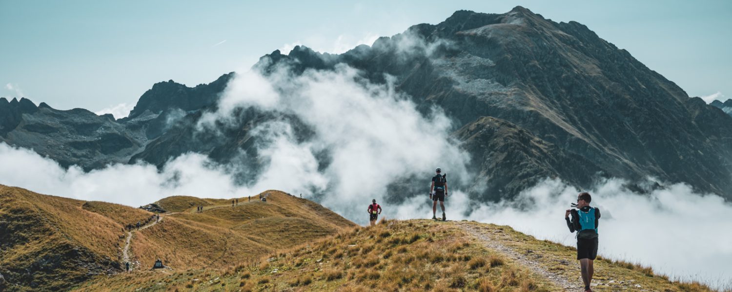 Science Sandwich – Trail en montagne : quel impact sur la faune sauvage ?