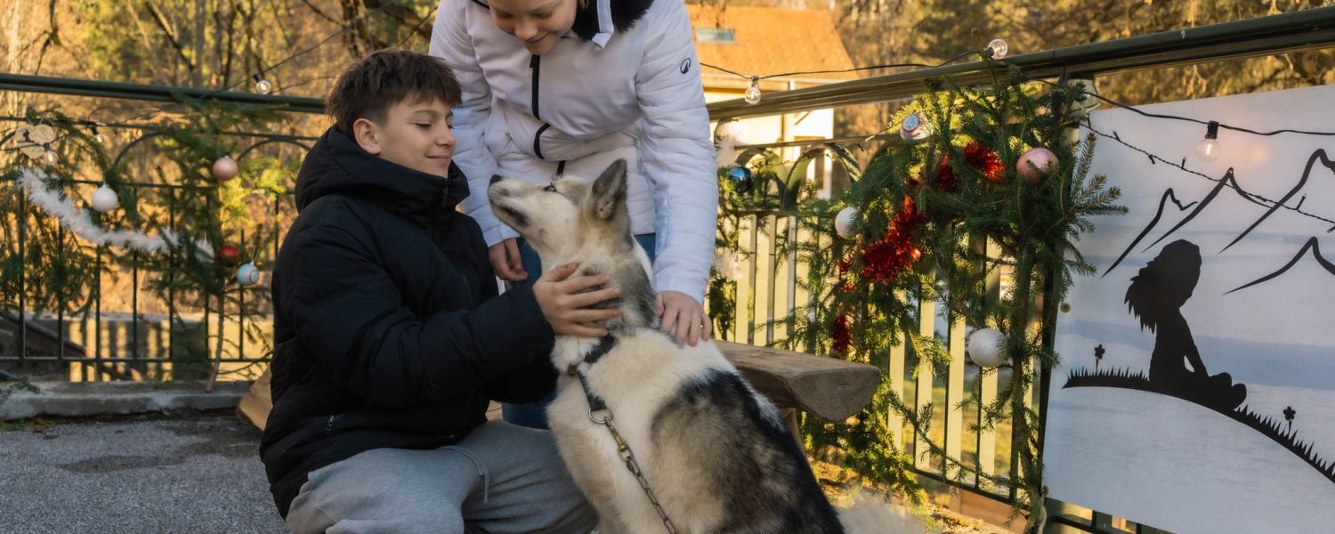 Sortie cani balade face au Mont Blanc Passy