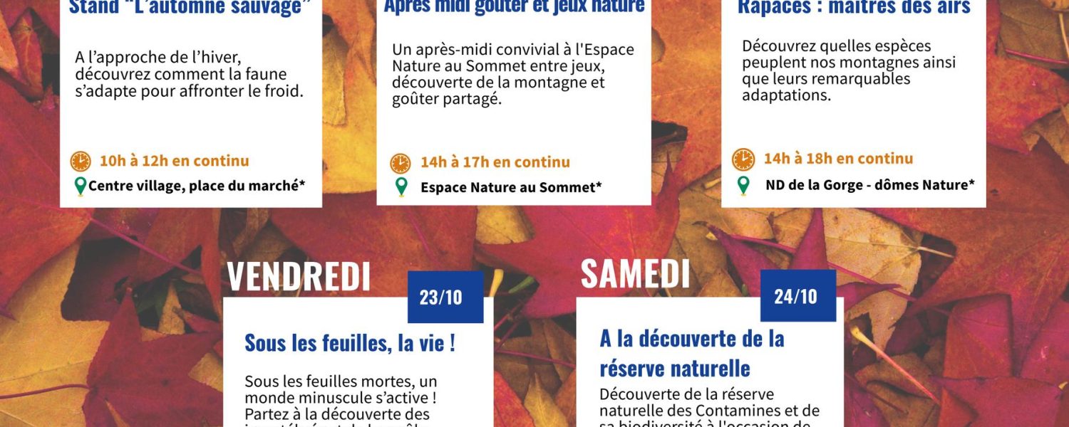 Rapaces, rois des airs Les Contamines Montjoie