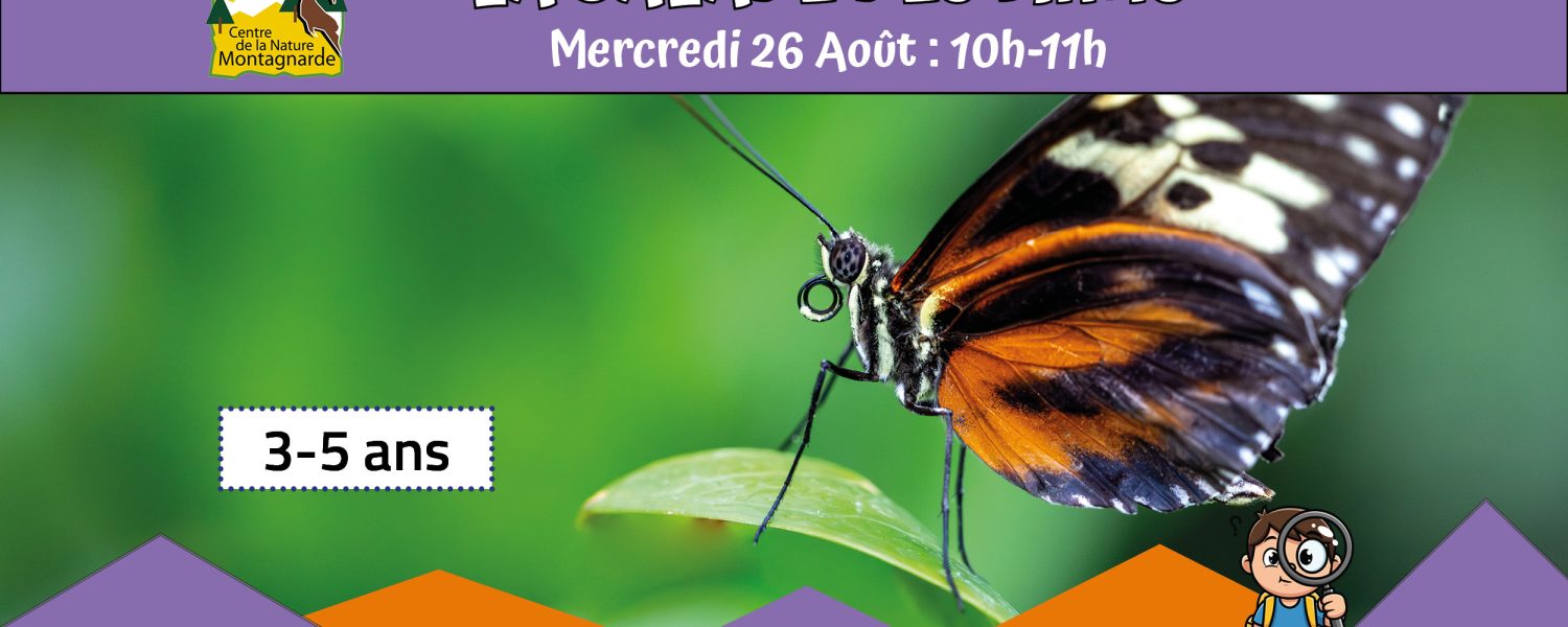 La balade des minis : Le mini papillon Sallanches